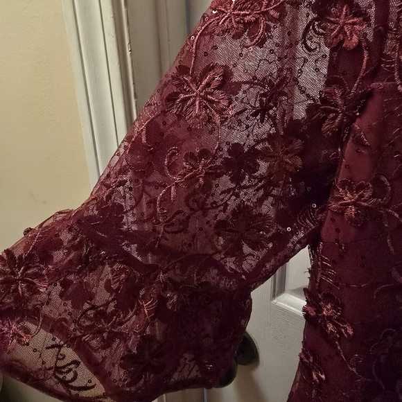 Adrianna Papell Deep Red Floral Lace Dress Size 16 Wedding Guest - Picture 4 of 8